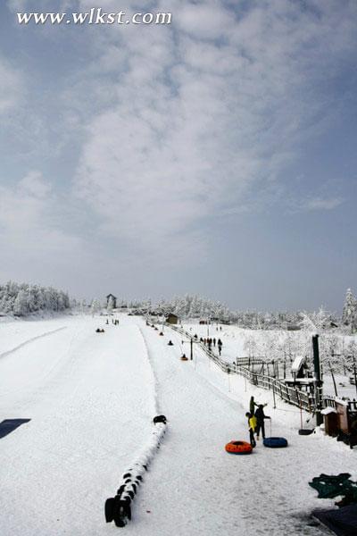 一下雪,仙女山便成了另一个天堂……