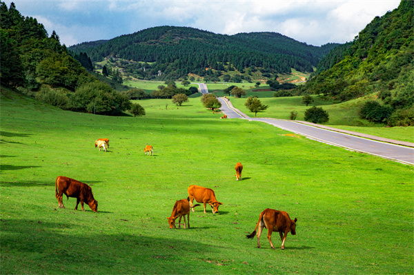 武隆秋日「顶配」周末计划丨48小时漫游秘境 重庆籍Pass仅59.9元无限次入园！
